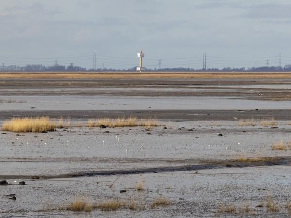 Westerschelde - Hedwigepolder