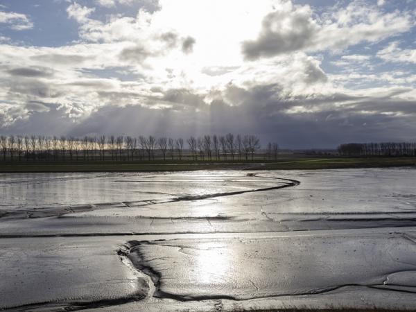 Hedwigepolder