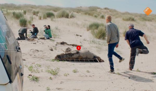 Opnames Vroege Vogels