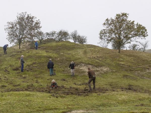 Vogelkers rooien Oranjezon Natuurwerkdag voor natuurherstel