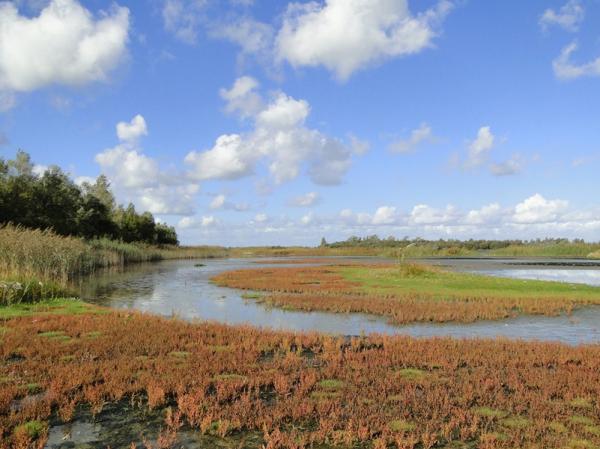 Krammer Volkerak bij Slikken van de Heen