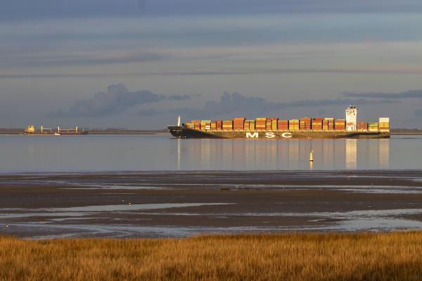 Vrachtschip Westerschelde