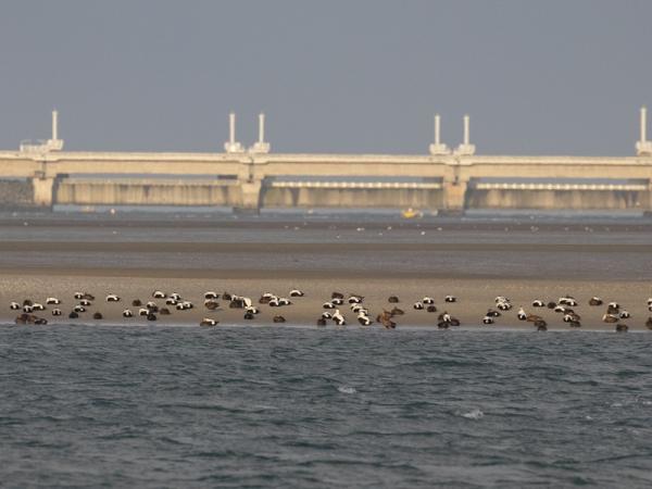 Walcheren - Neeltje Jans, stormvloedkering