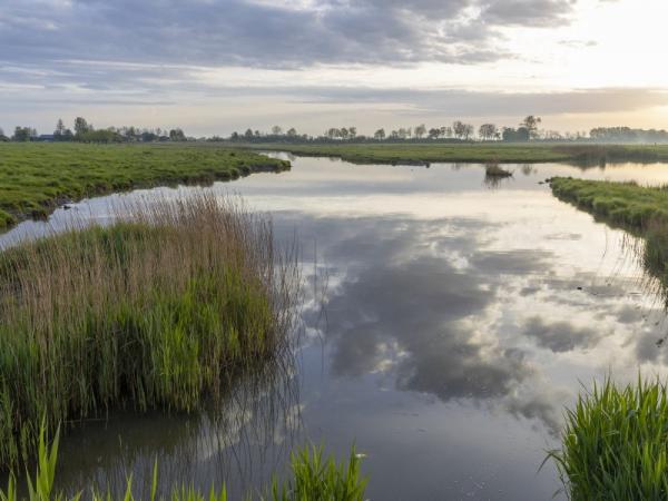 Natuurgebied De Reep