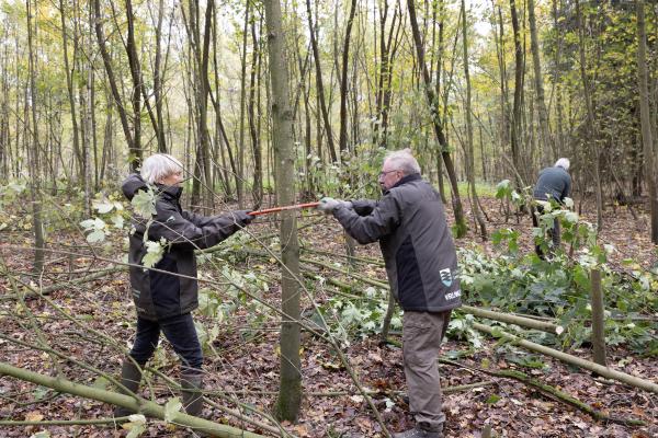 Twee vrijwilligers zagen een boom om