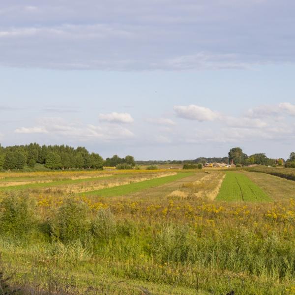 Kustlaboratorium Waterdunen Schallegallepolder