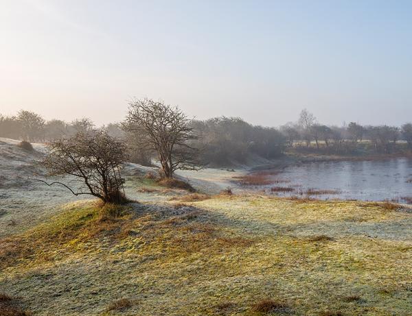 Rijp in de duinen van Oranjezon