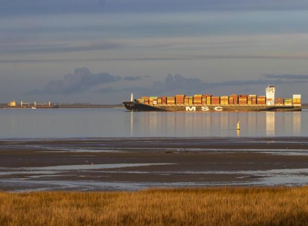 Excursie Saeftinghe naar de Schelde boot