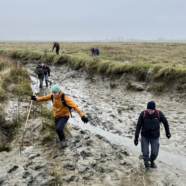 Excursie naar de Schelde Saeftinghe