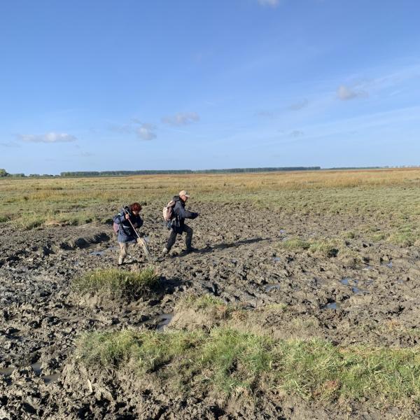 Wandelen in Het Verdronken Land van Saeftinghe