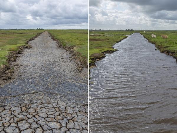 Yerseke Moer droog en nat vergelijk