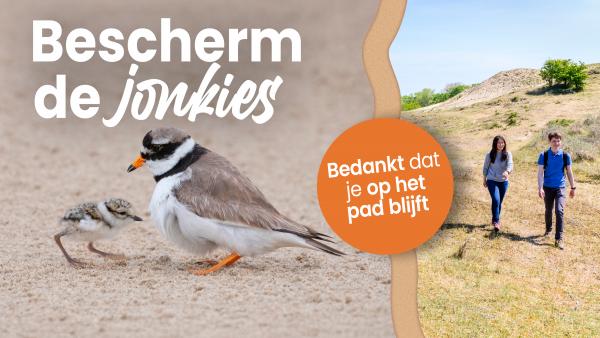 Campagne Bescherm de Jonkies met vogel op strand en mensen blijf op pad