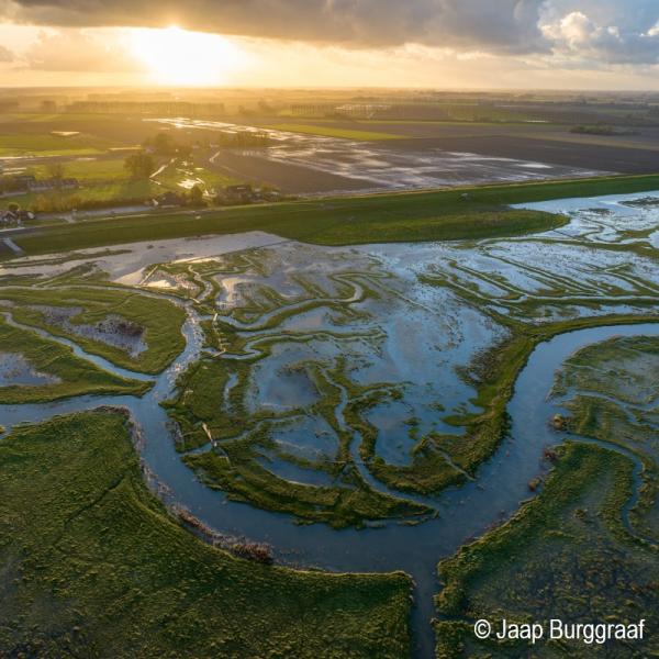 Top 10 mooiste plekken Zeeland - Saeftinghe