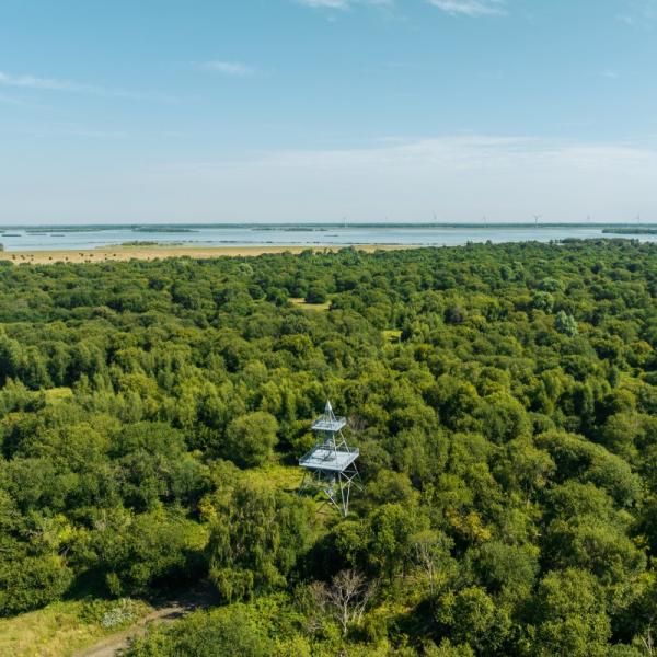 Top 10 mooiste plekken Zeeland - Slikken van de Heen