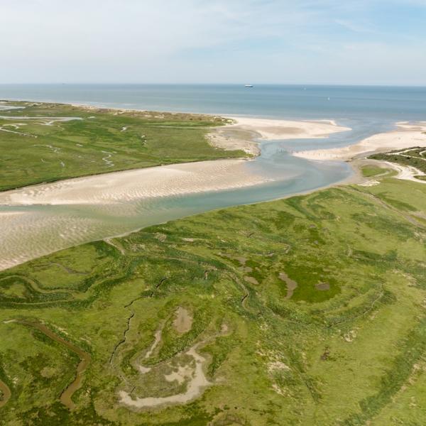 Top 10 mooiste plekken Zeeland - Zwin