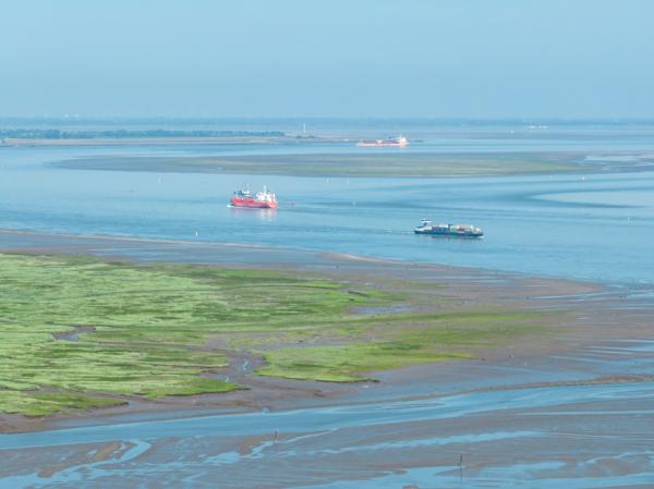 Westerschelde scheepvaart
