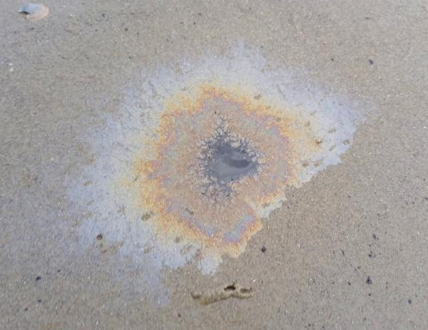 Olievlek in Saeftinghe