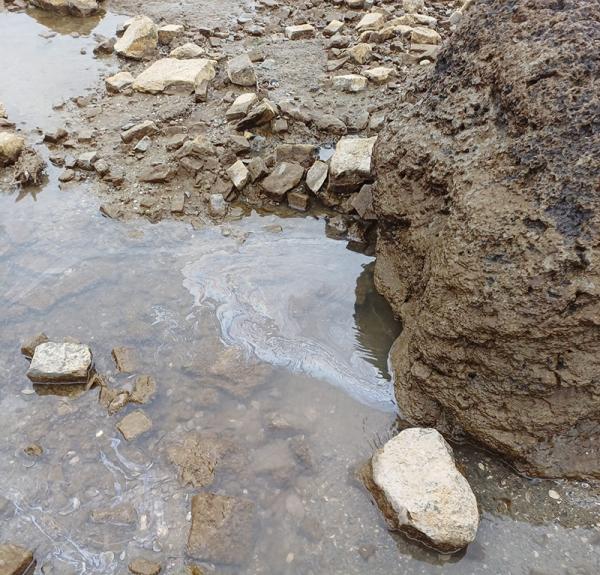 Olievlek in Saeftinghe