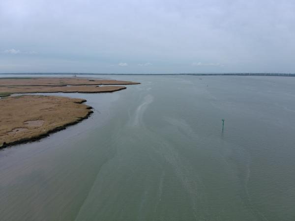 Oliefilmlaag op Saeftinghe