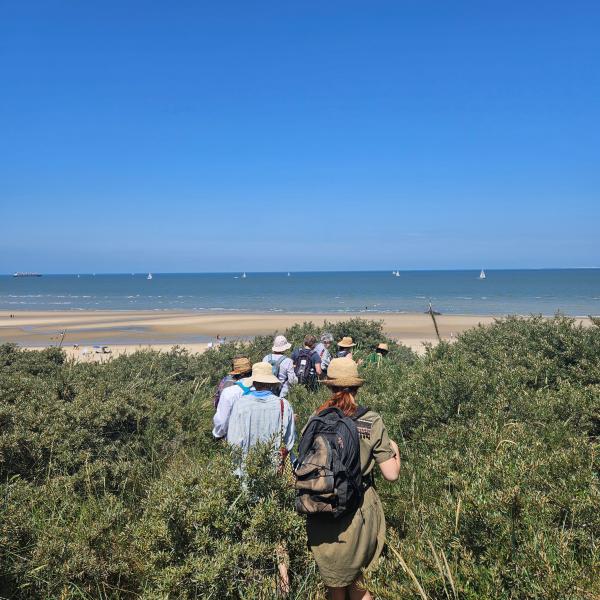 duinen verdronken zwarte polder