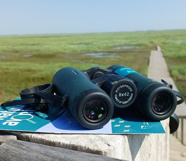 een verrekijker met Saeftinghe op de achtergrond