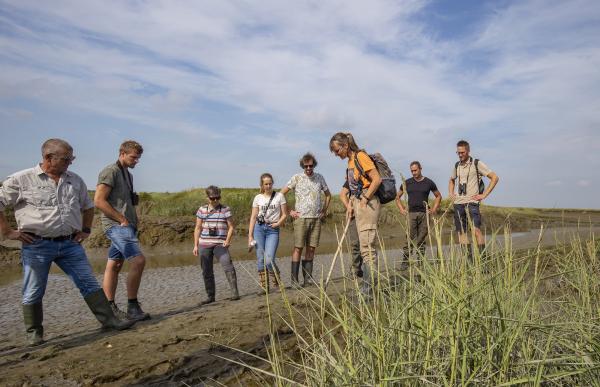 Groep op excursie door Saeftinghe