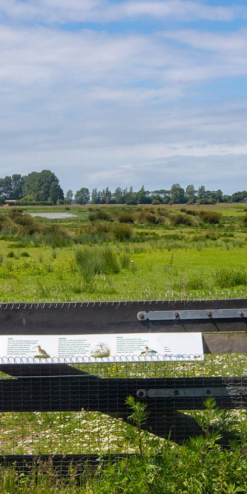 Weidehek in de Sint Laurense Weihoek