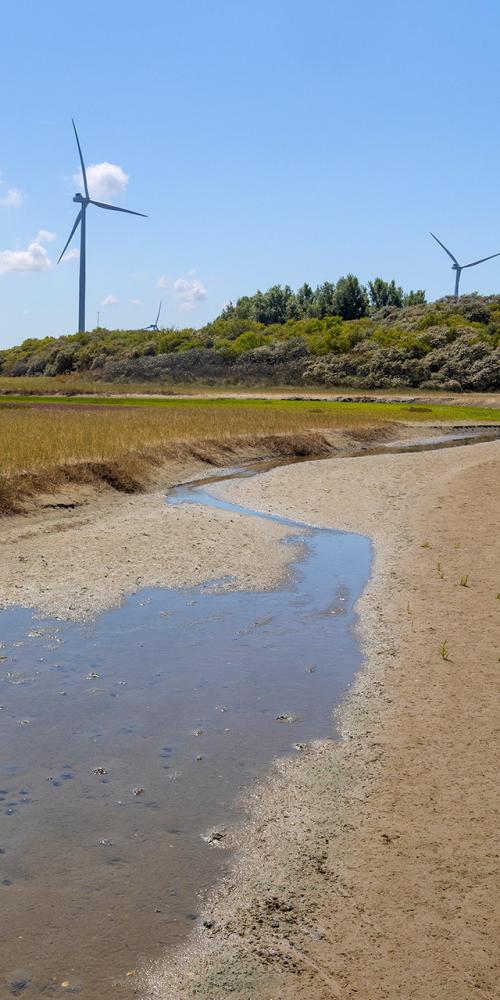 Landschap met zand, water en windmolens op de achtergrond