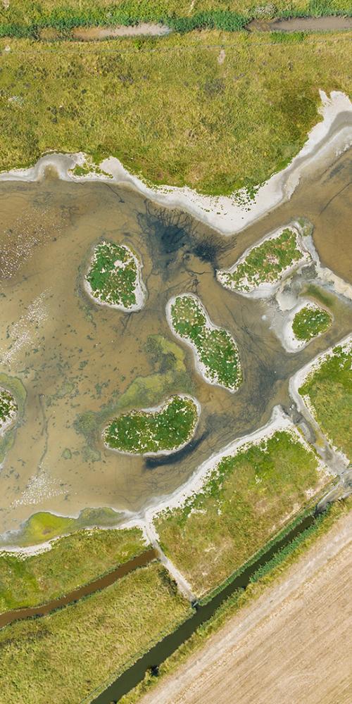 Dronebeeld van de Koude- en Kaarspolder