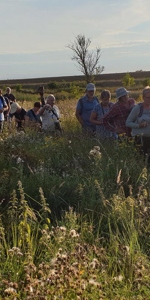 Groep excursiedeelnemers staan in het hoge gras