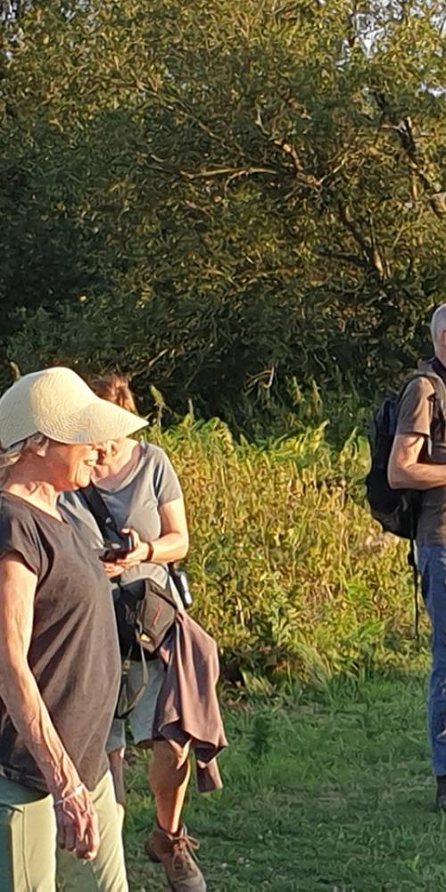 Groep mensen kijkt in de verte