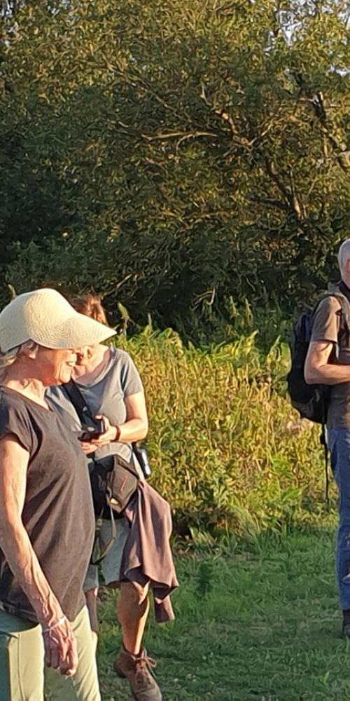 Groep mensen kijkt in de verte 