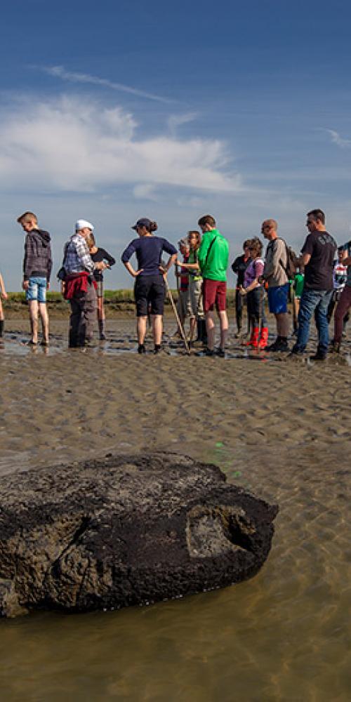 Groep excursiedeelnemers staat in de modder