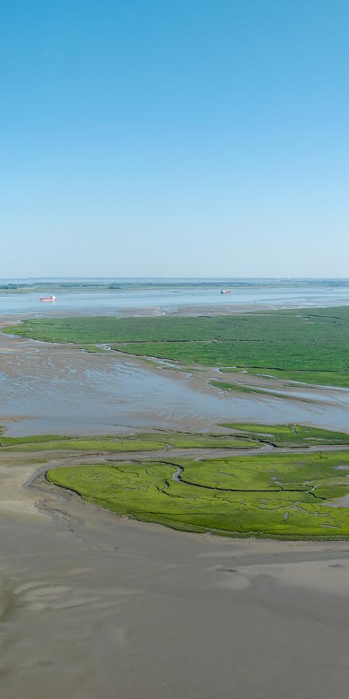 Verdronekn Land van Saeftinghe