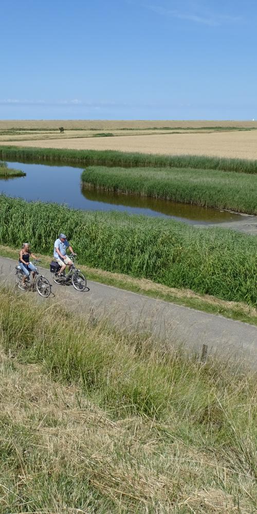 Fietsen fietsen door het landschap van Inlagen Noord Beveland