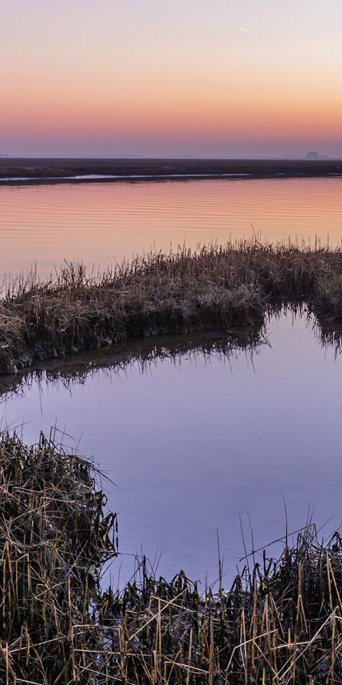 Krabbenkreek bij zonsondergang