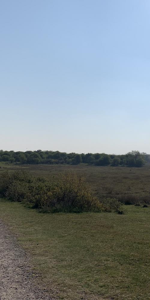 Groep mensen in Oranjezon