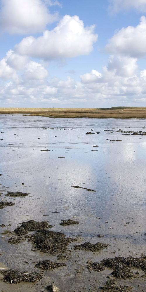 Oesterput Inlagen Noord-Beveland 