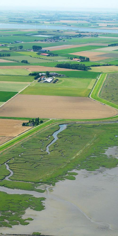 Luchtfoto van de Rumoirtschorren