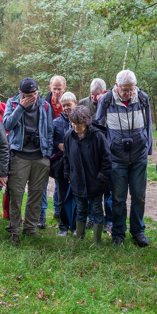 Excursie in de Waterwinbossen