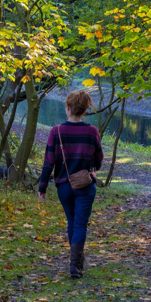 Wandelaar in het bos van Oranjezon