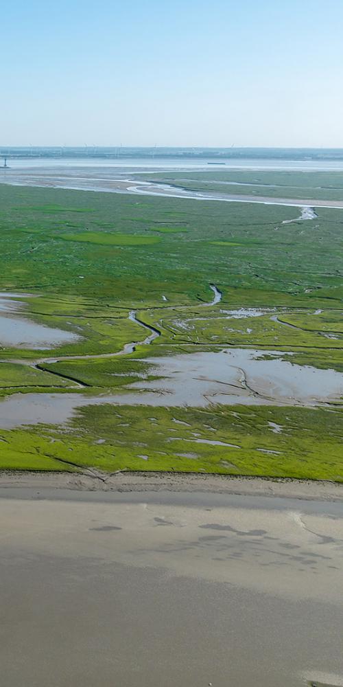 Het Verdronken Land van Saeftinghe