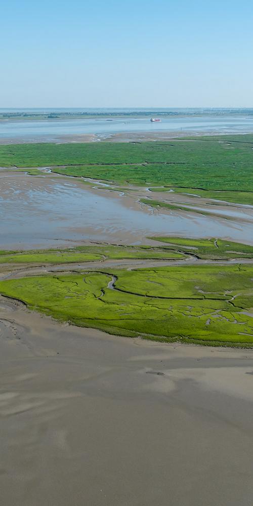 Dronebeeld van Saeftinghe