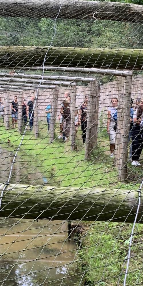 Groep mensen loopt door Eendenkooi