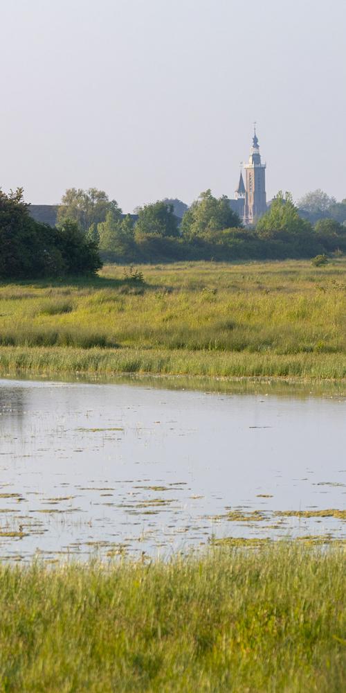 Aardenburgse havenpolder