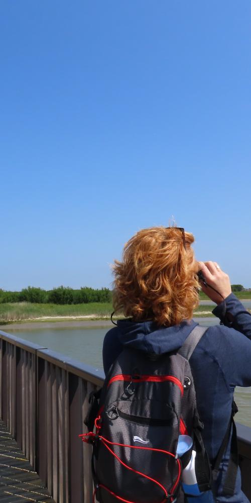 Waterdunen_brug_kijken