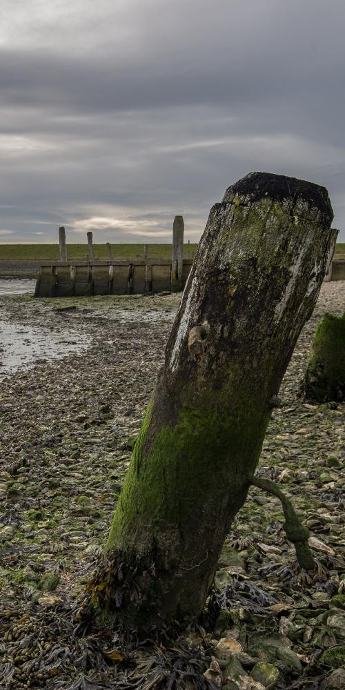 Paalhoofd in Oesterput Inlagen Noord-Beveland