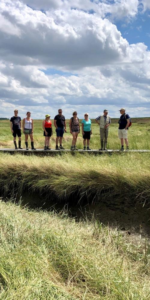 Excursiedeelnemers op Plankierpad in Saeftinghe