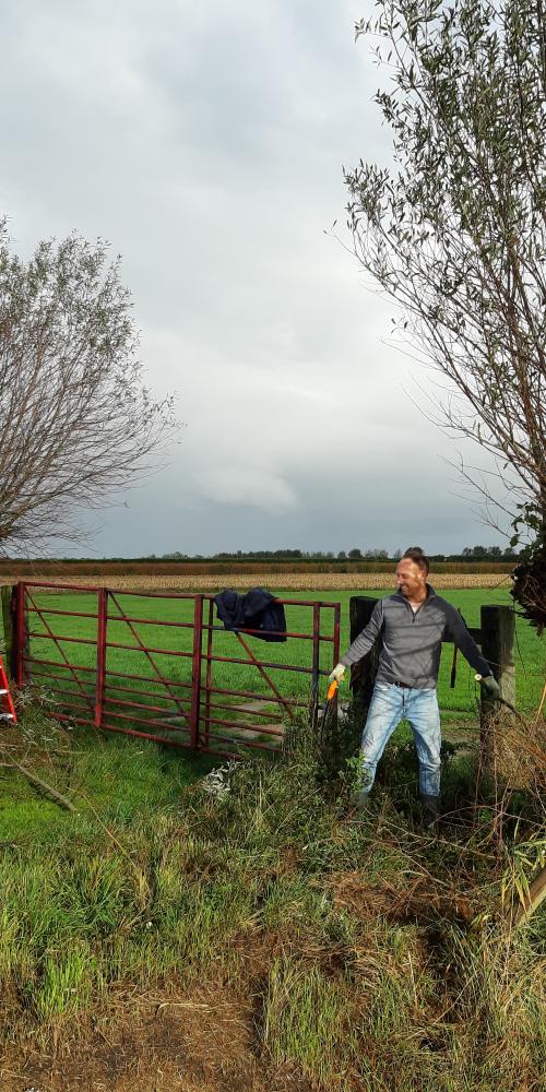 Vrijwilligers knotten bomen