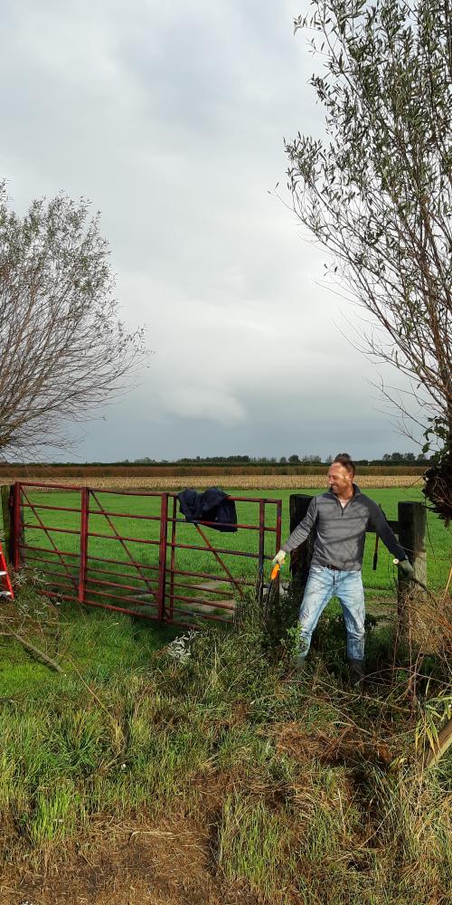 Vrijwilligers knotten bomen 